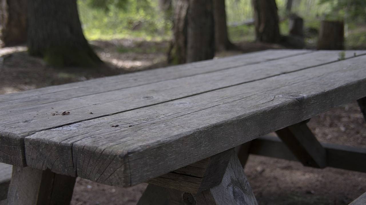 Haatmails Voor Eigenaar Vakantieboerderij Na Berichtgeving Over Palestijns Kinderkamp Omroep Brabant