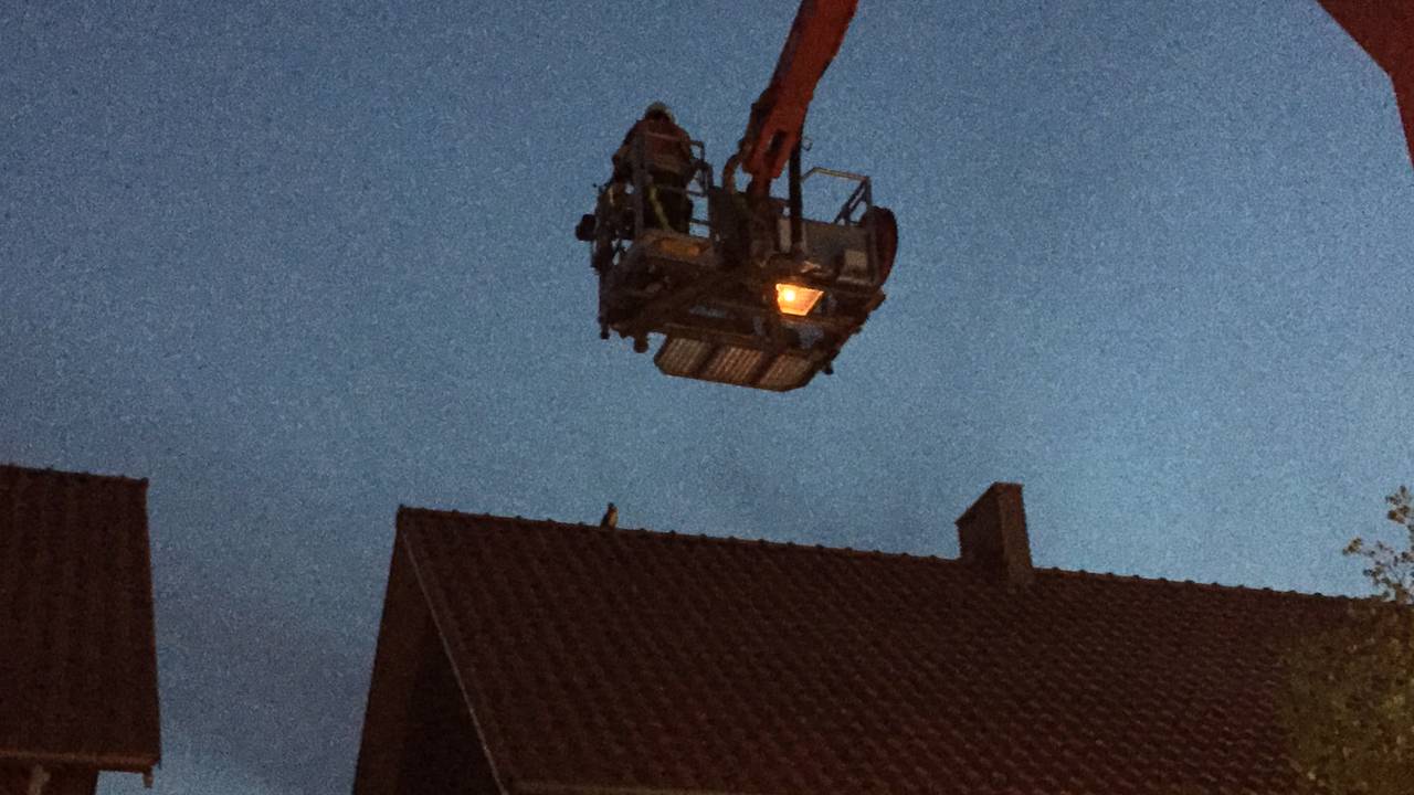 Ga naar slide 1
