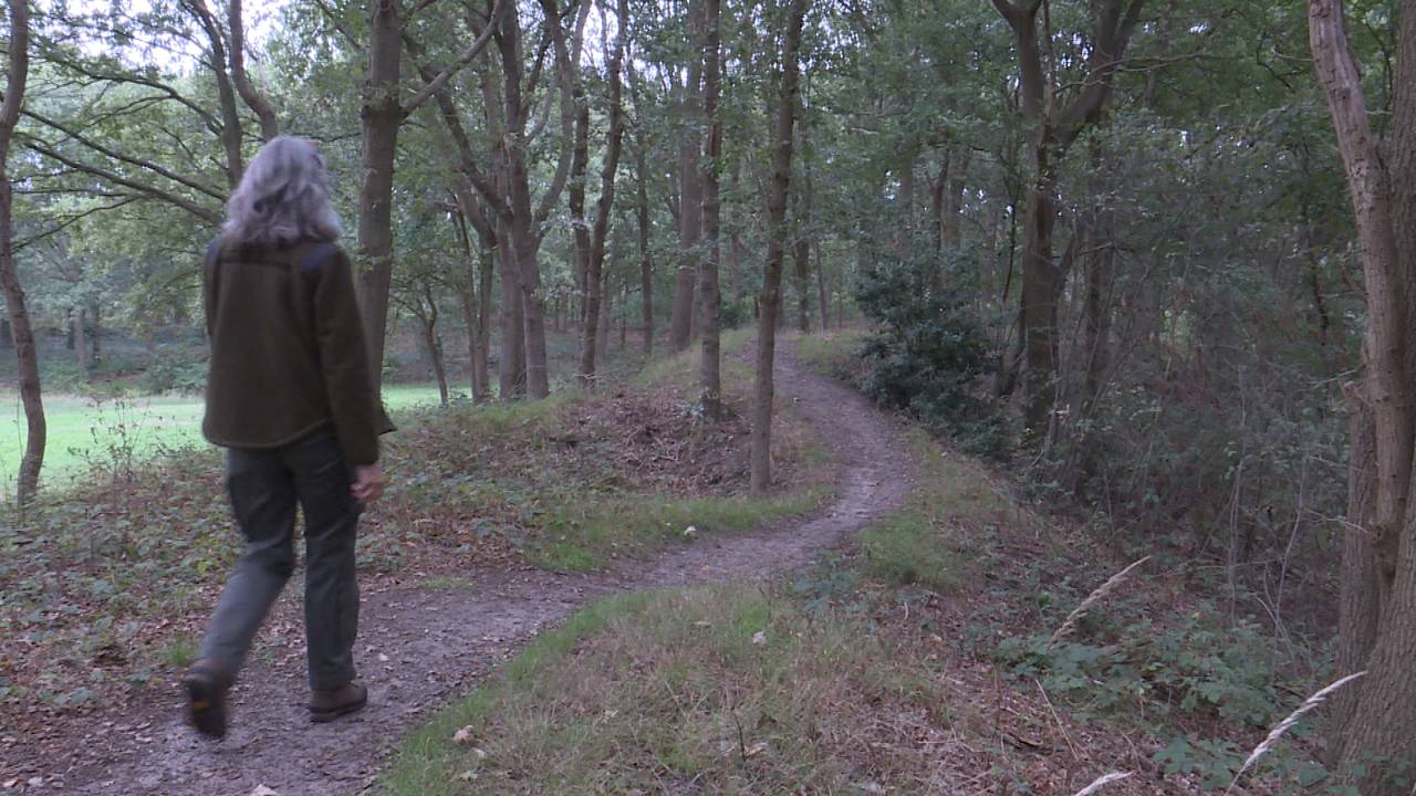 Boswachter Anneke Oomen wandelt over de Spinolaschans.