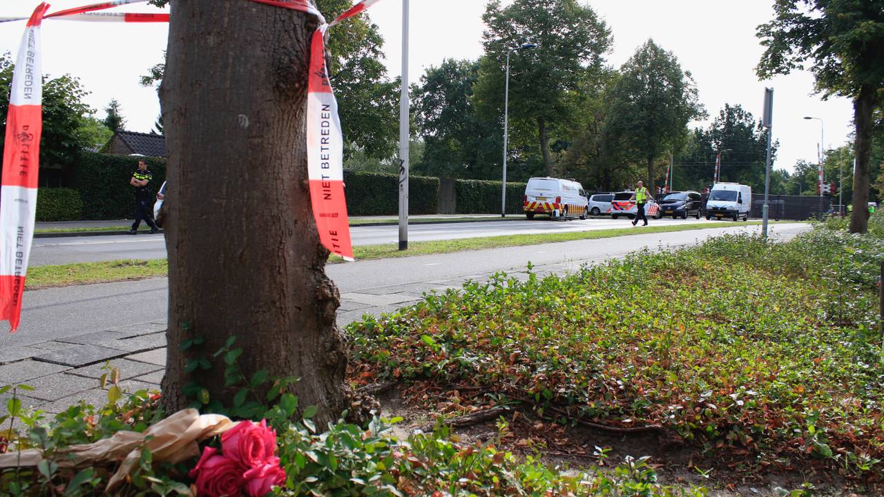 Bloemen vlakbij de plek van het dodelijke ongeluk. (Foto: Danny van Schijndel)