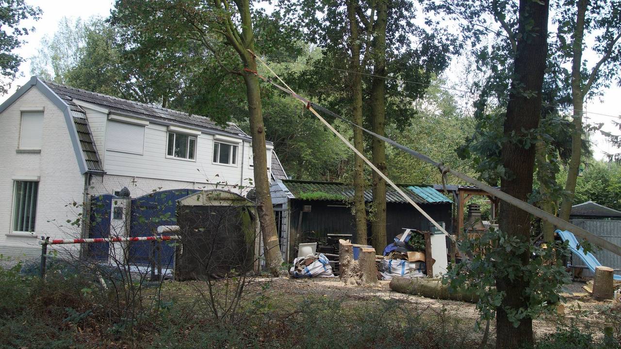 Dankzij de spanbanden viel de boom niet op het huis. (Foto: Erik Haverhals)