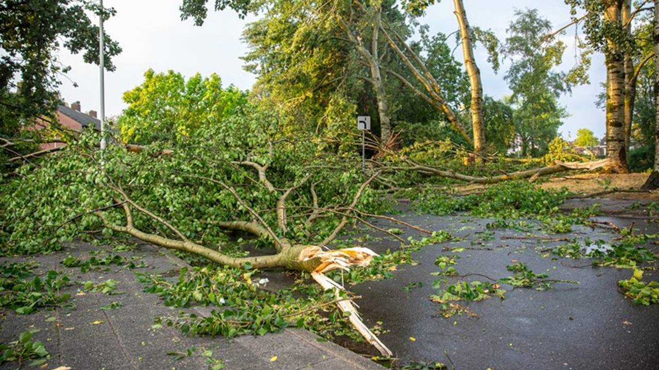De valwind zorgde voor veel schade in Roosendaal