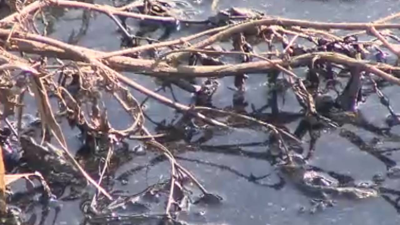 De sloten zitten vol met zwarte drek.