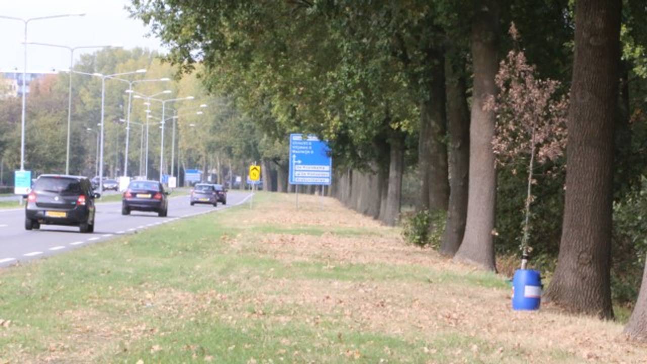 Foto: Bart Meesters
