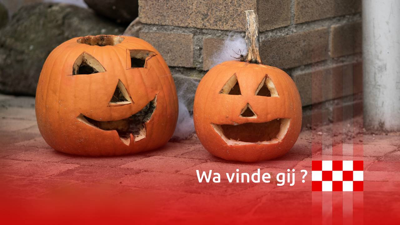 Foto: Kevin Cordewener