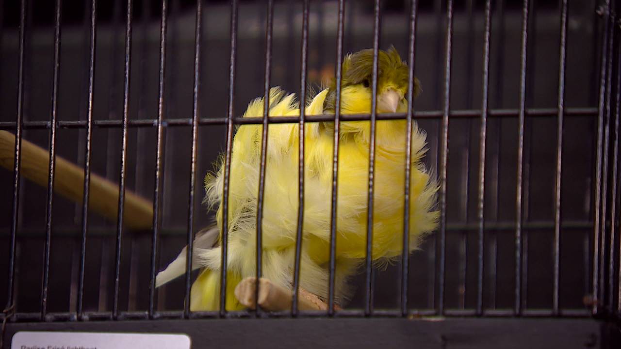 Ga naar slide 2