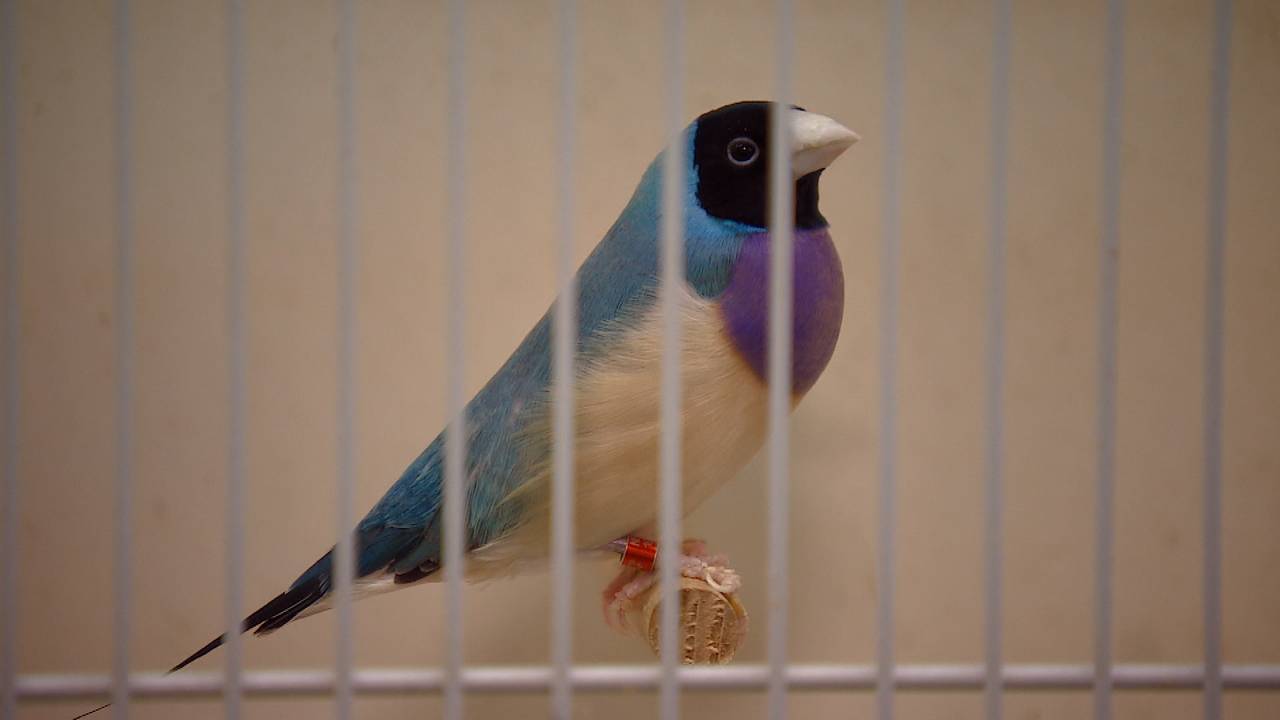 Ga naar slide 4