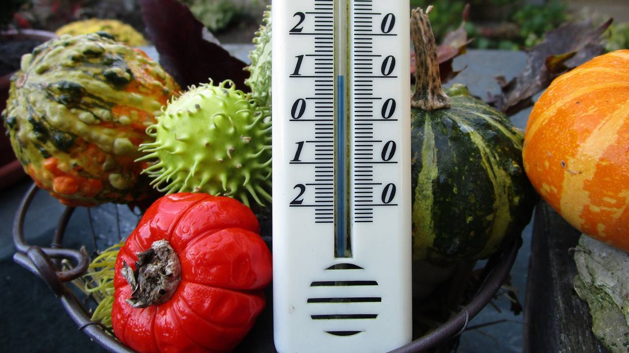 Weer is een (dag)record gebroken. (Foto: Margreet van Vianen)