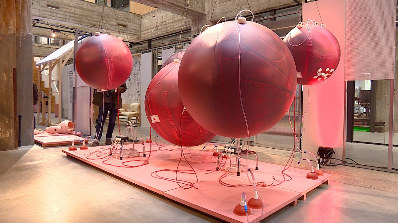 De kunstmatige baarmoeder op de Dutch Design Week in Eindhoven.