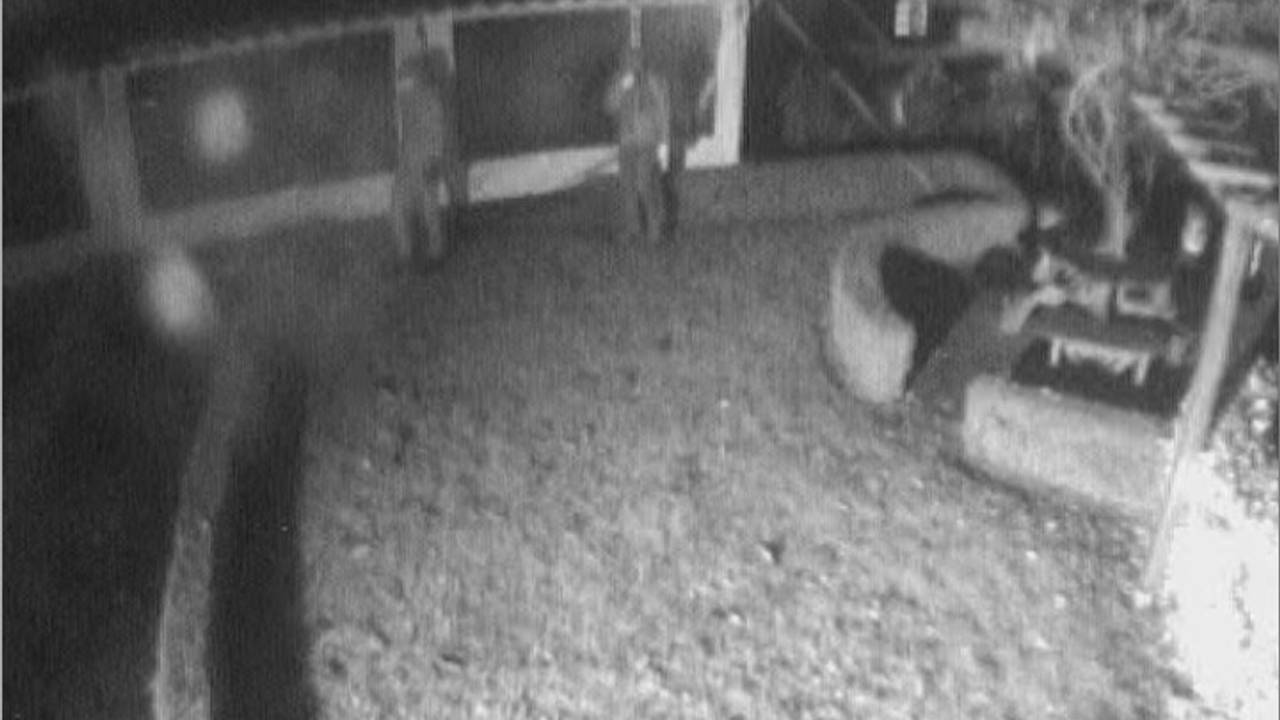 Beeld van de bewakingscamera tijdens de inbraak