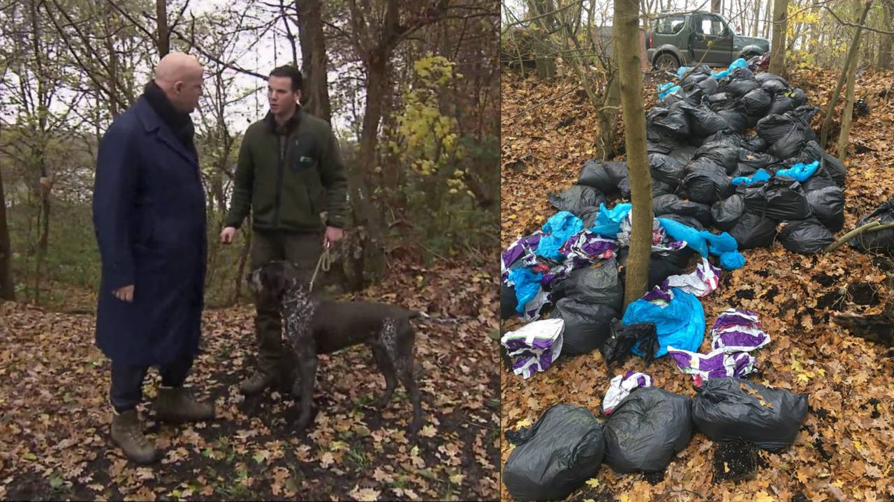 Foto:  Erik de Jonge