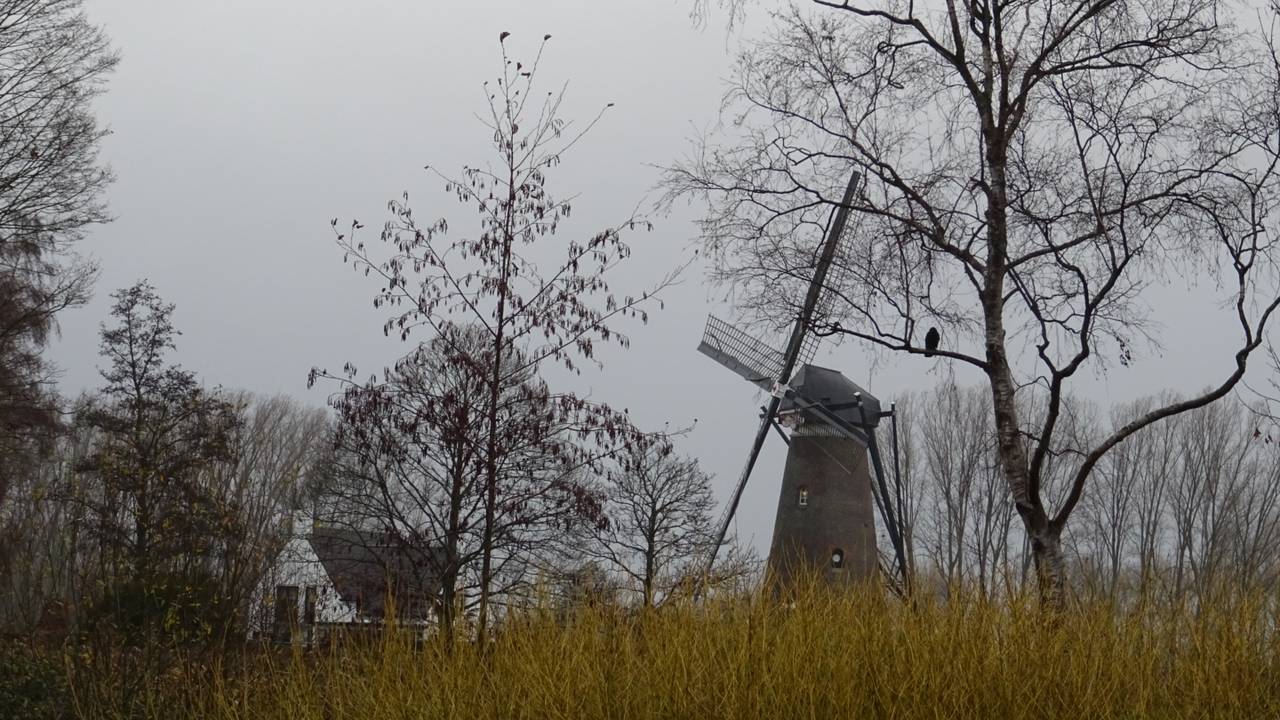 Een druilerige ochtend in Nuenen. (Foto: Willem van Nunen)