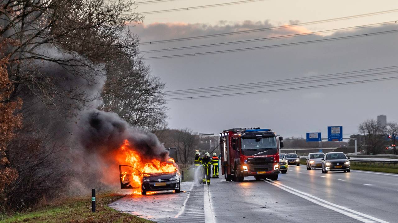 Foto: Jack Brekelmans, persbureau BMS