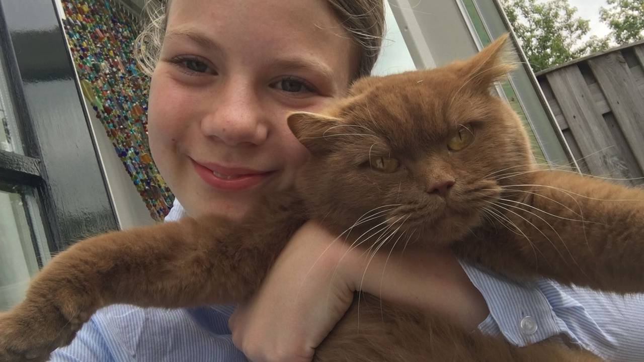 Foto: Facebookpagina Kattenoppas Sophie