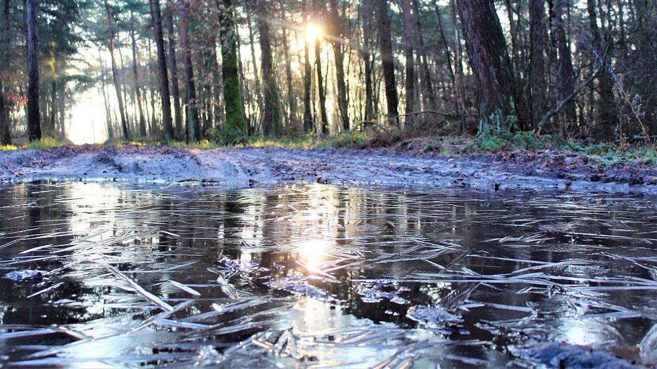 Foto: Jolanda Pelkmans