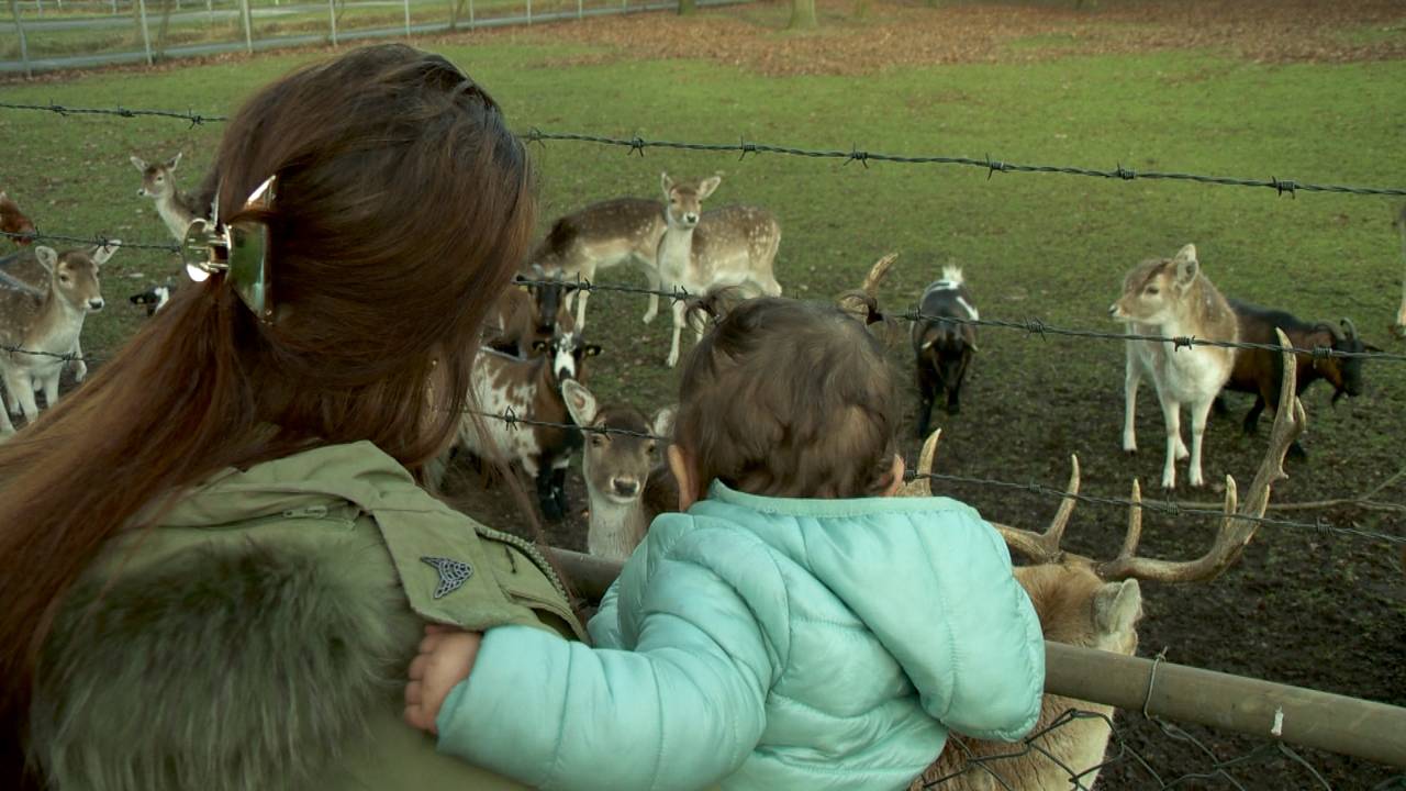 Mariska en Henri verbouwden hun garage om een tienermoeder met haar kindje op te vangen.