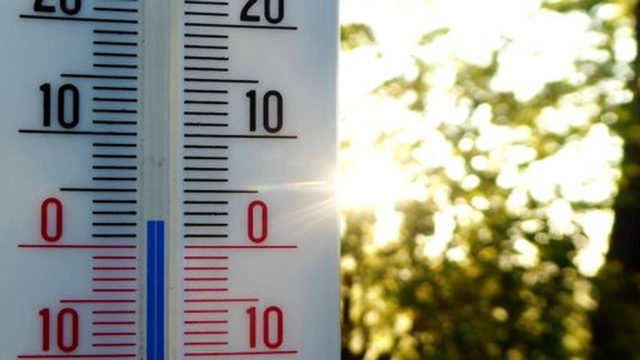 Foto: Peter van der Schoot