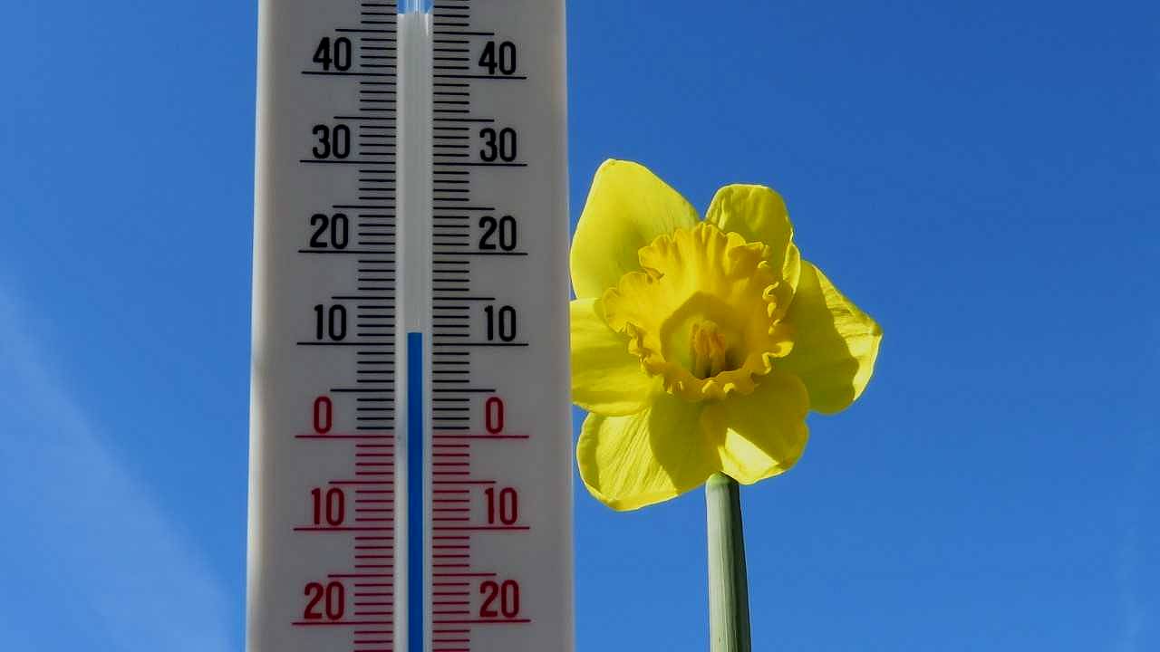 Na de mist vrijdagochtend liep de temperatuur snel op (Foto: Peter van der Schoot).