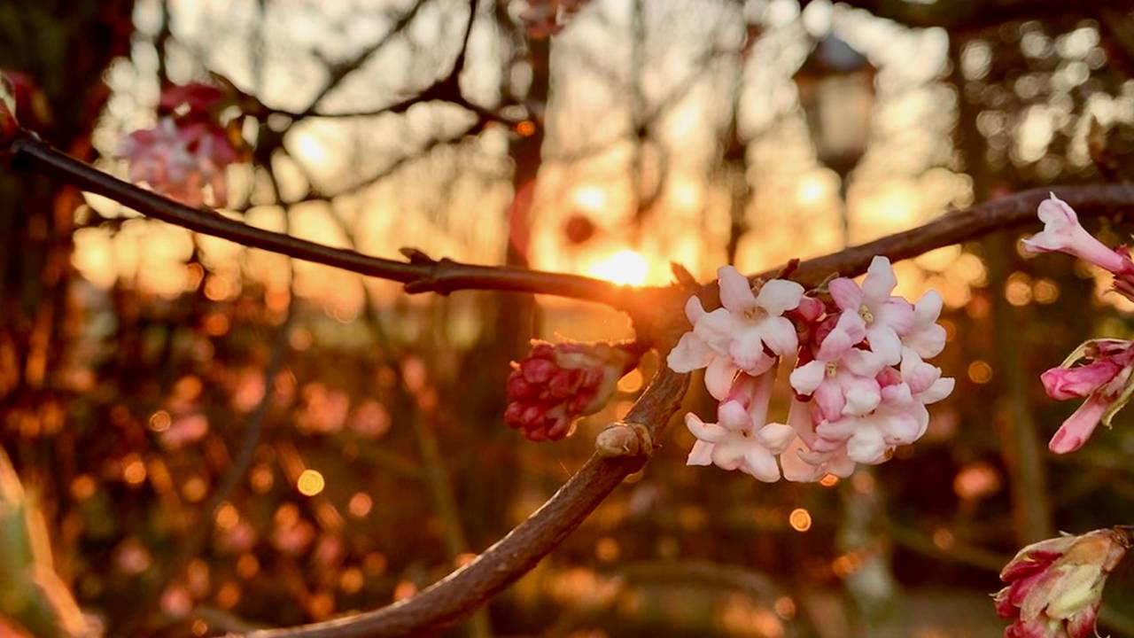 Archieffoto: Samantha Broekhoven