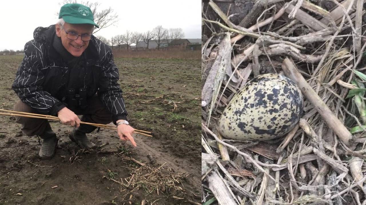 Frits van der Hagen en het eerste Brabantse kievitsei van 2019. Foto: Brabants Landschap.