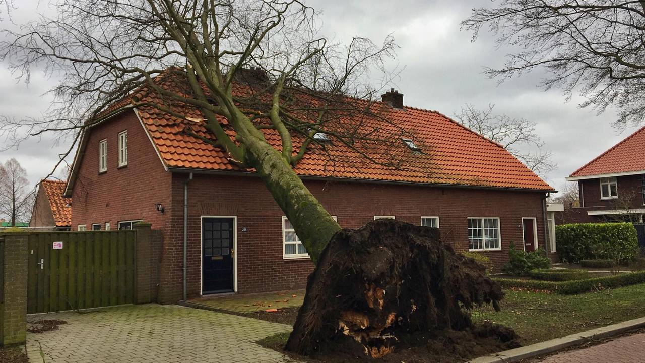 Boom kan de storm niet aan en valt op huis in Deurne. Foto: Martien van Dam/ SQVision