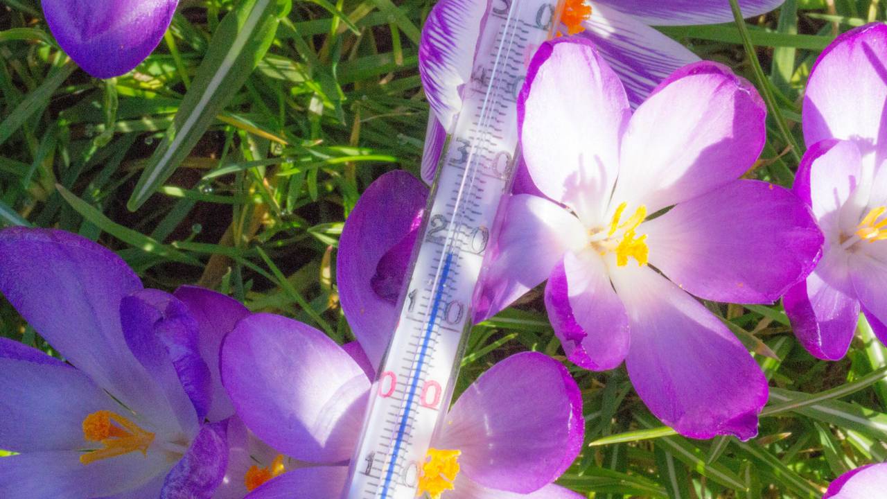 De temperaturen lopen woensdag nog hoog op, maar donderdag wordt het kouder (Foto: Ab Donker)