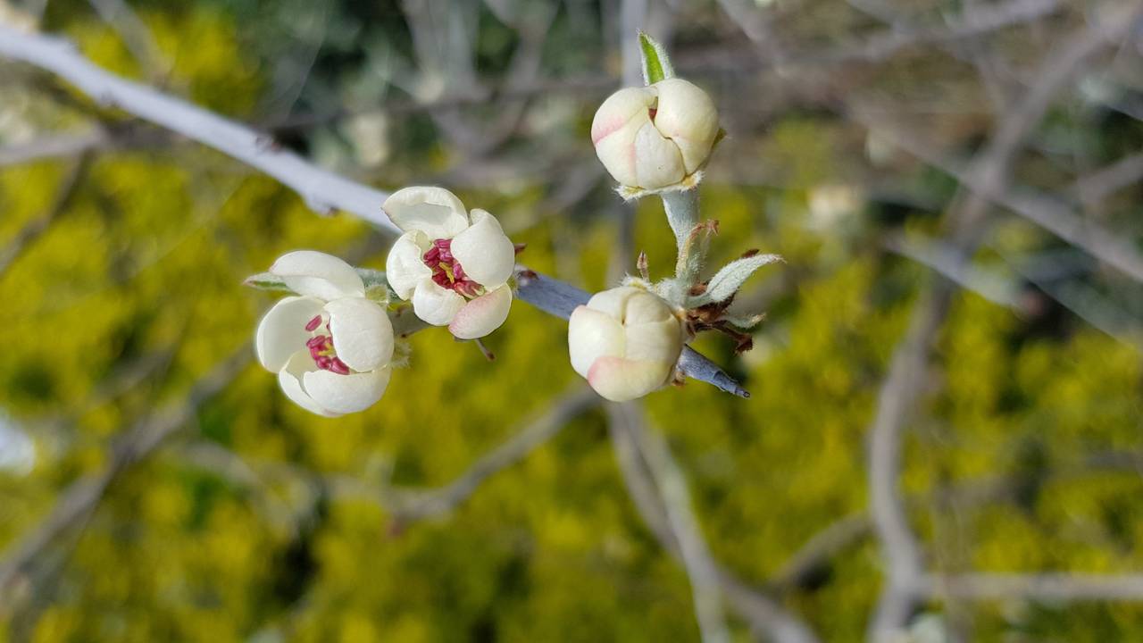 Het is volop lente! (Foto: Sandra Kagie)