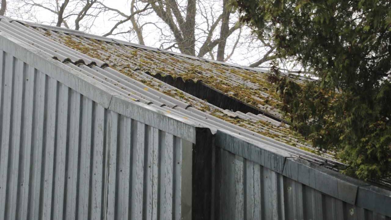 Foto: Erik Haverhals.