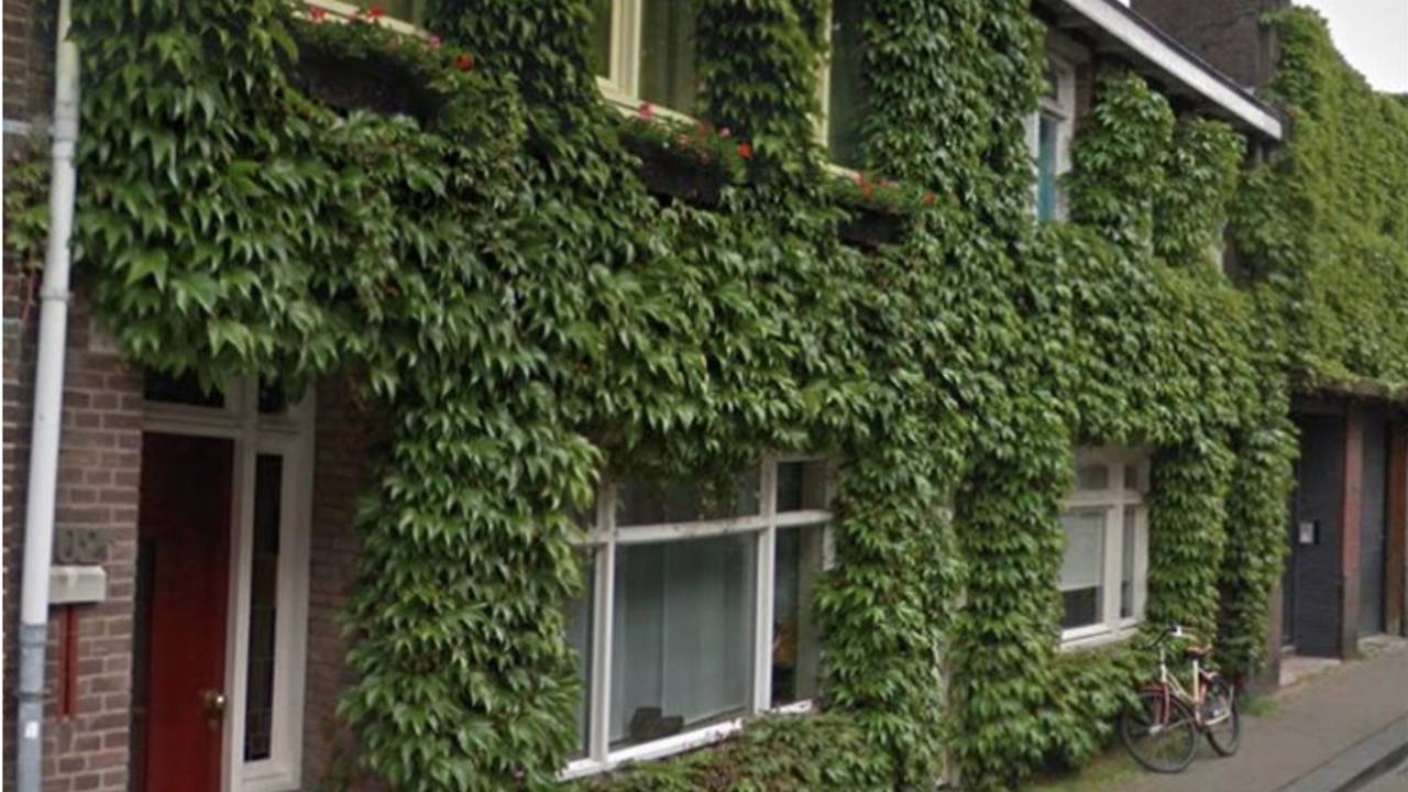 Mooi groen is niet lelijk. (foto: funda)