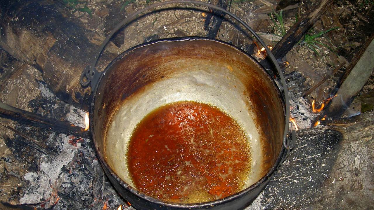Ayahuasca, dat volgens het bedrijf niet door de man gebruikt werd tijdens de sessie. (bron: Wikimedia).