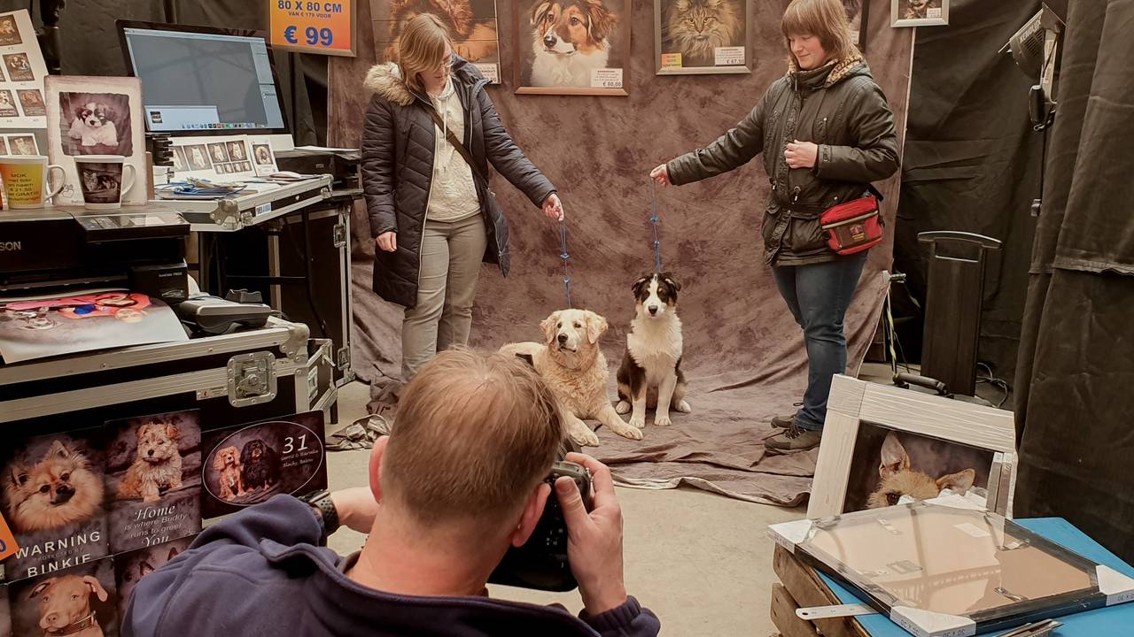 Twee Uur Wachten Om Met Je Huisdier Op De Foto Te Kunnen Omroep Brabant