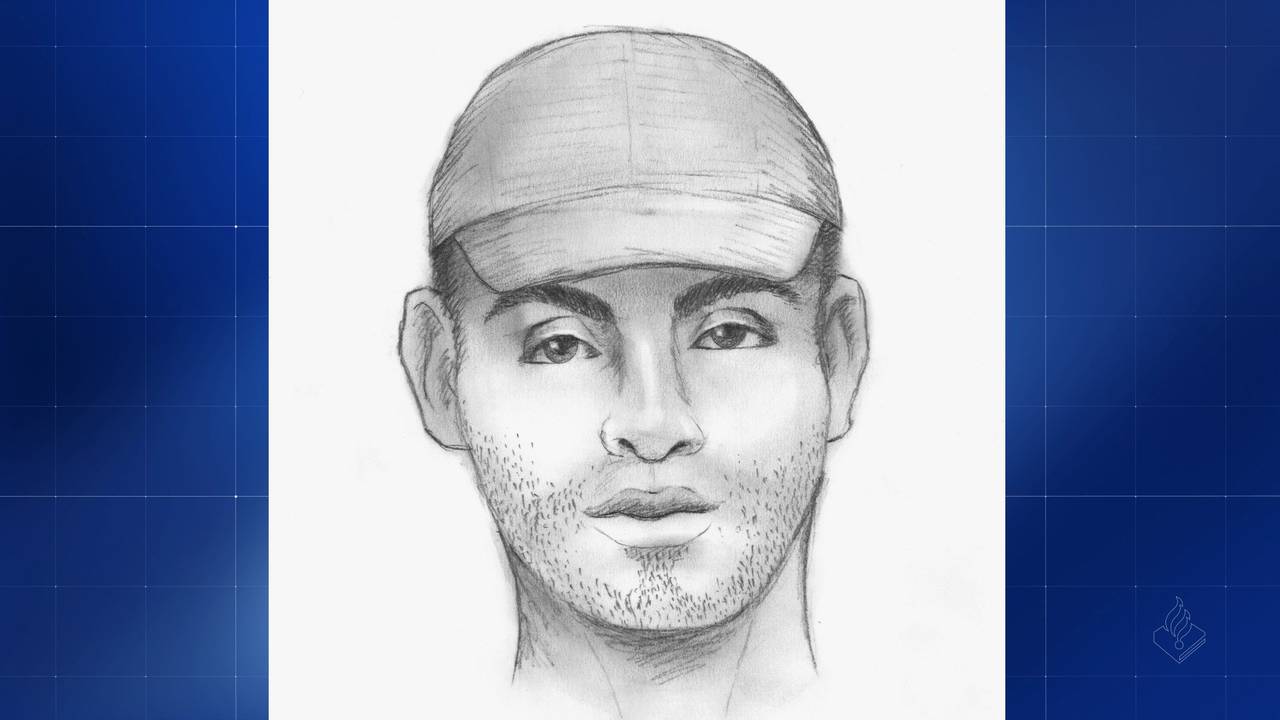 Tekening van de mogelijke dader die 79-jarige vrouw overreed in Breda (foto: Opsporing Verzocht)