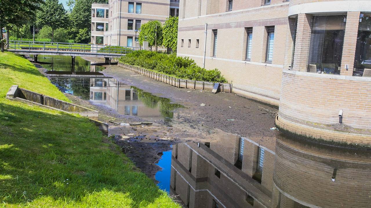 De drooggevallen gracht in Helmond zaterdagochtend. (Foto: Pim Verkoelen/SQ Vision)