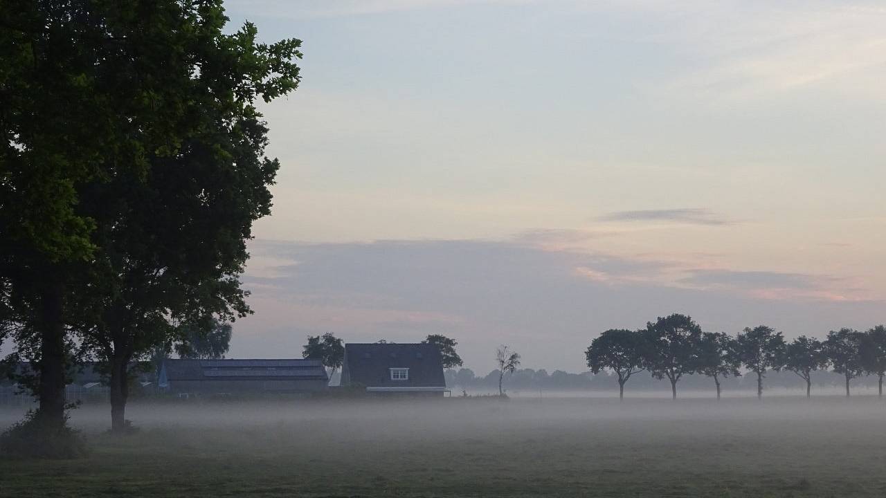 Boeren zijn verplicht voor 2022 emissie-arme stallen te bouwen. (Foto: Joop van der Kaa)