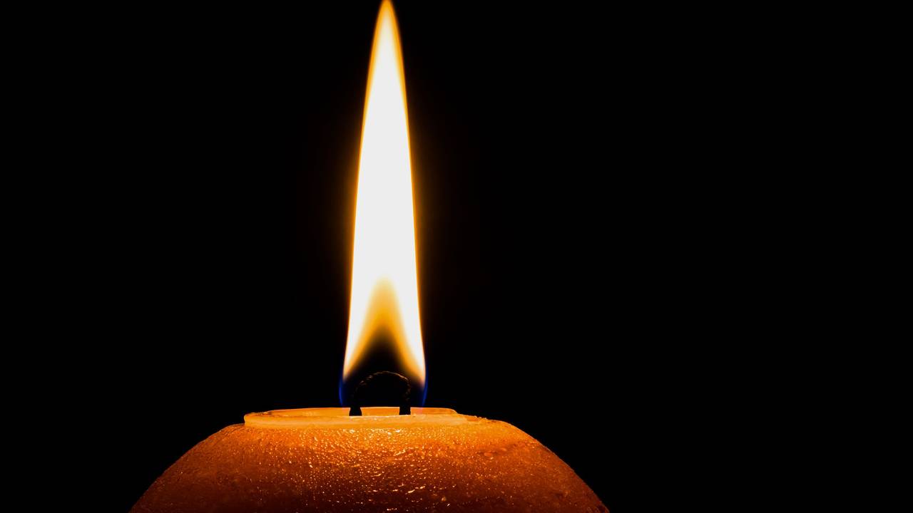 Foto: Myriam Zilles/Pixabay.