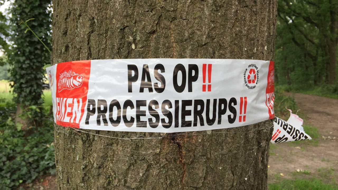 Archieffoto: Karin Kamp