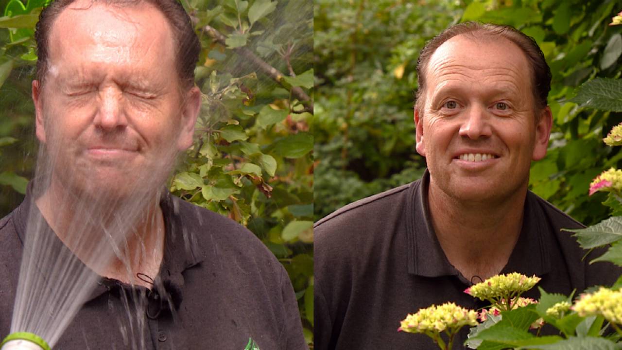 Martijn geeft tips over het onderhouden van je tuin als het heel warm is.