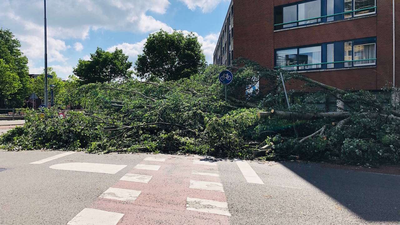 Een omgewaaide boom verspert het fietspad