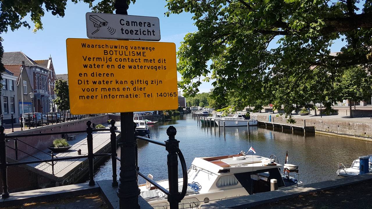 Bij de haven wordt gewaarschuwd voor botulisme (foto: @BoaHalderberge / Twitter)