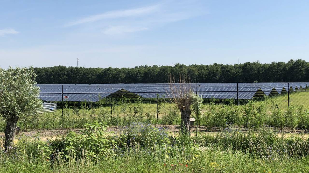 In Best ligt één van de vele zonnepanelenparken in onze provincie (foto: Hans Janssen).