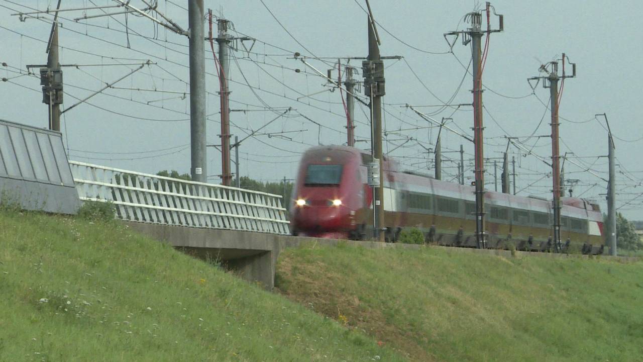 De Thalys in volle vaart (foto: Raoul Cartens)
