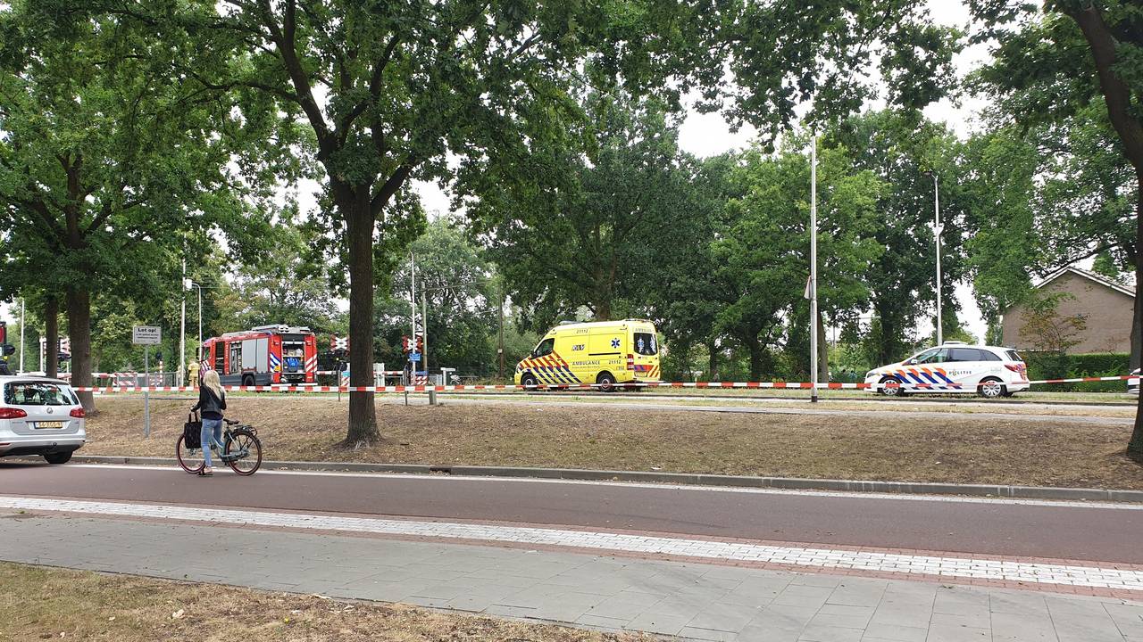 Foto : Maickel Keijzers/Hendriks Multimedia