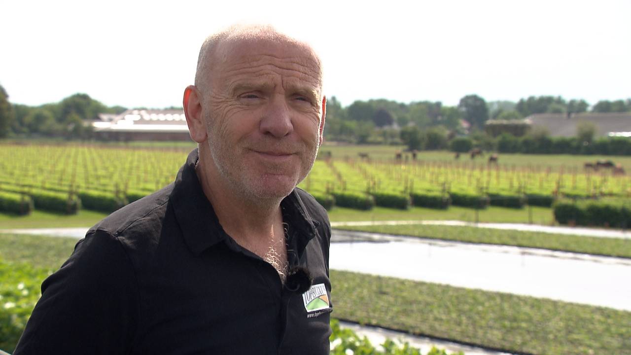 Adrie van Dun moest het bijltje erbij neerleggen nu de buxusrups de buxusstruiken kaalvreten.