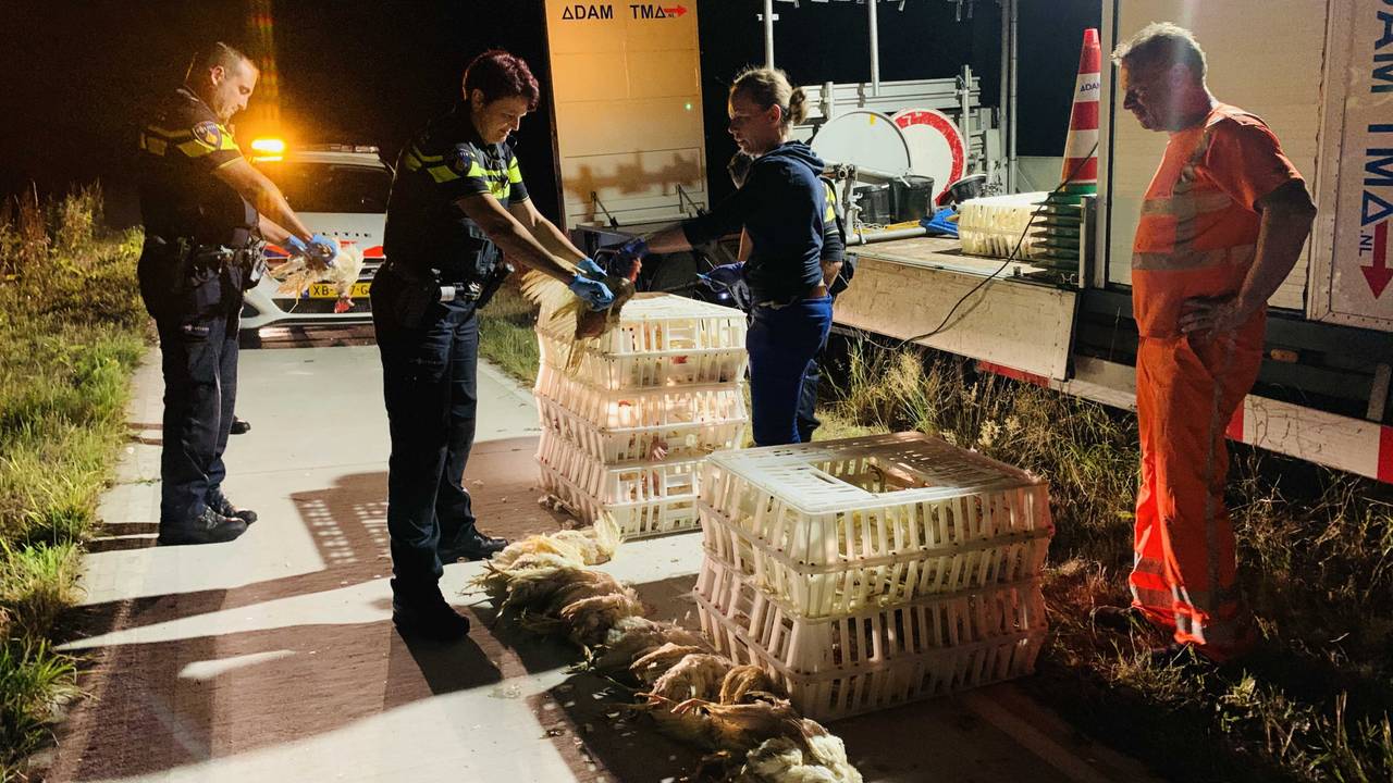 De politie helpt een handje (foto: AS Media).