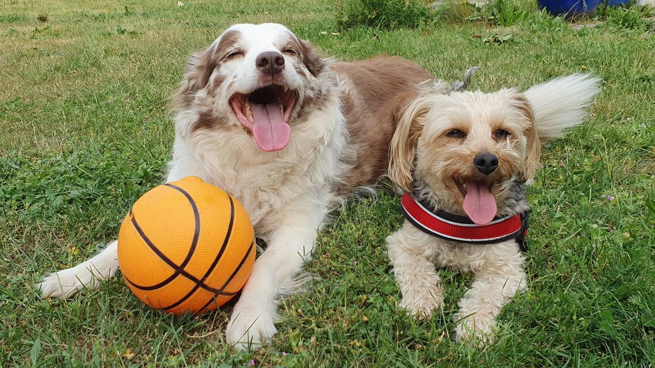 Wandelen of fietsen is geen goed idee (foto: Collin Beijk).