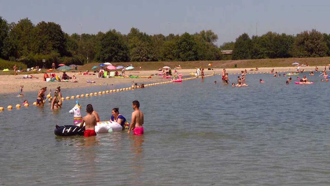 Badderaars in de Galderse Meren bij Breda (archieffoto).