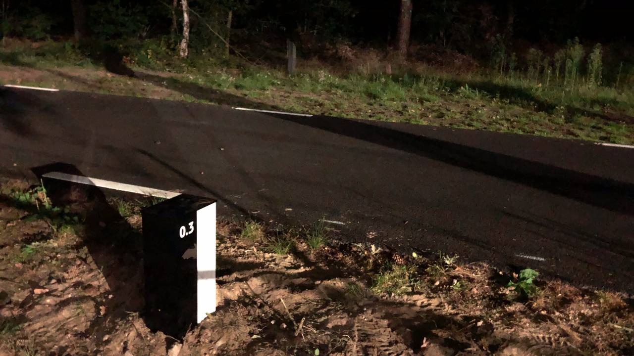 Geen verlichting op dit drukke fietspad, maar reflectorpaaltjes (foto: Alice van der Plas).