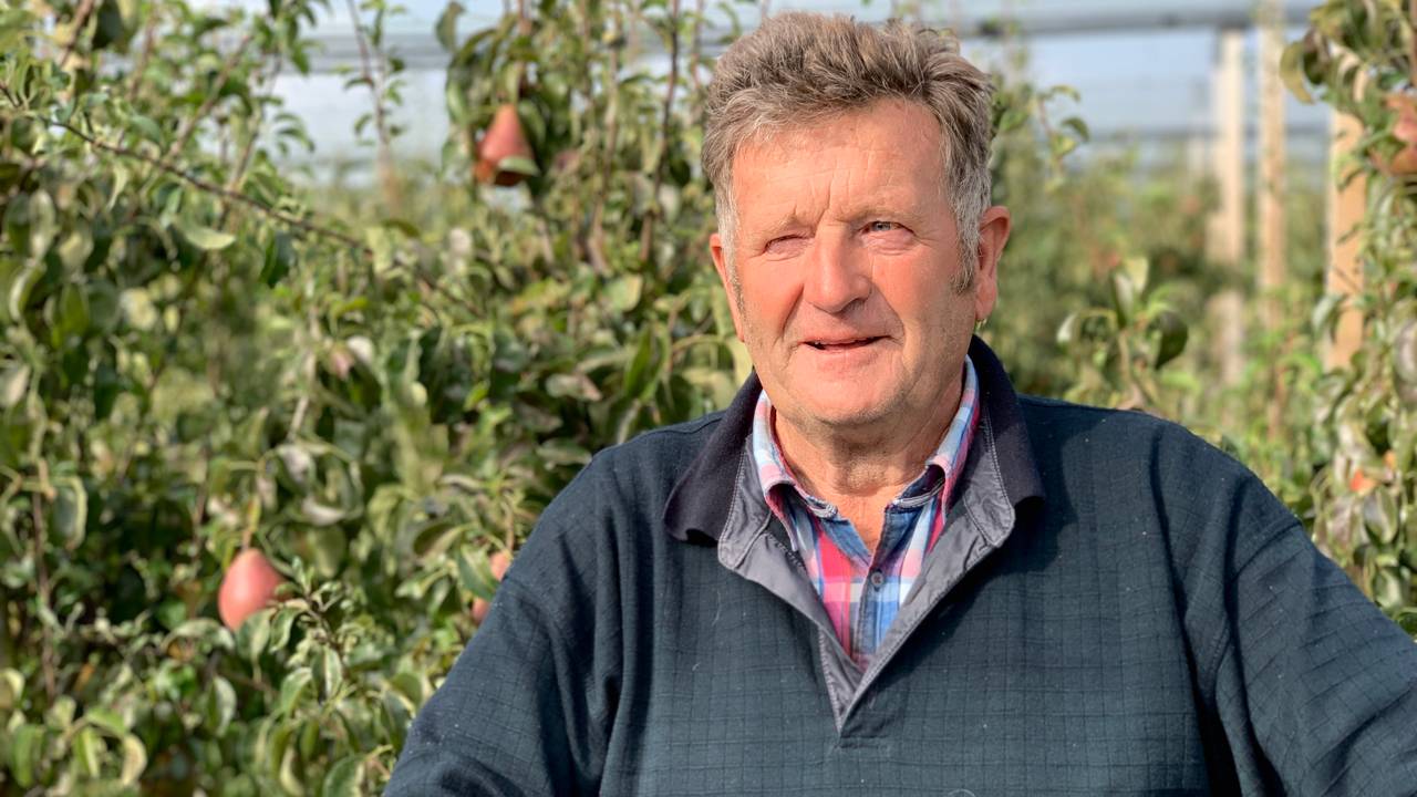 Cees Verkooijen (77) werkt keihard mee met de rest van de plukkers. (foto: Eva de Schipper)