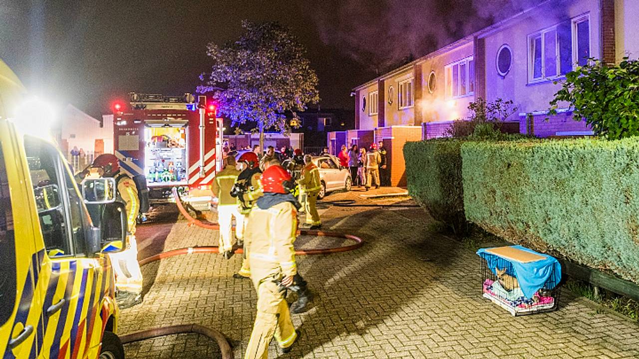 Foto: Sem van Rijssel/SQ Vision Mediaprodukties