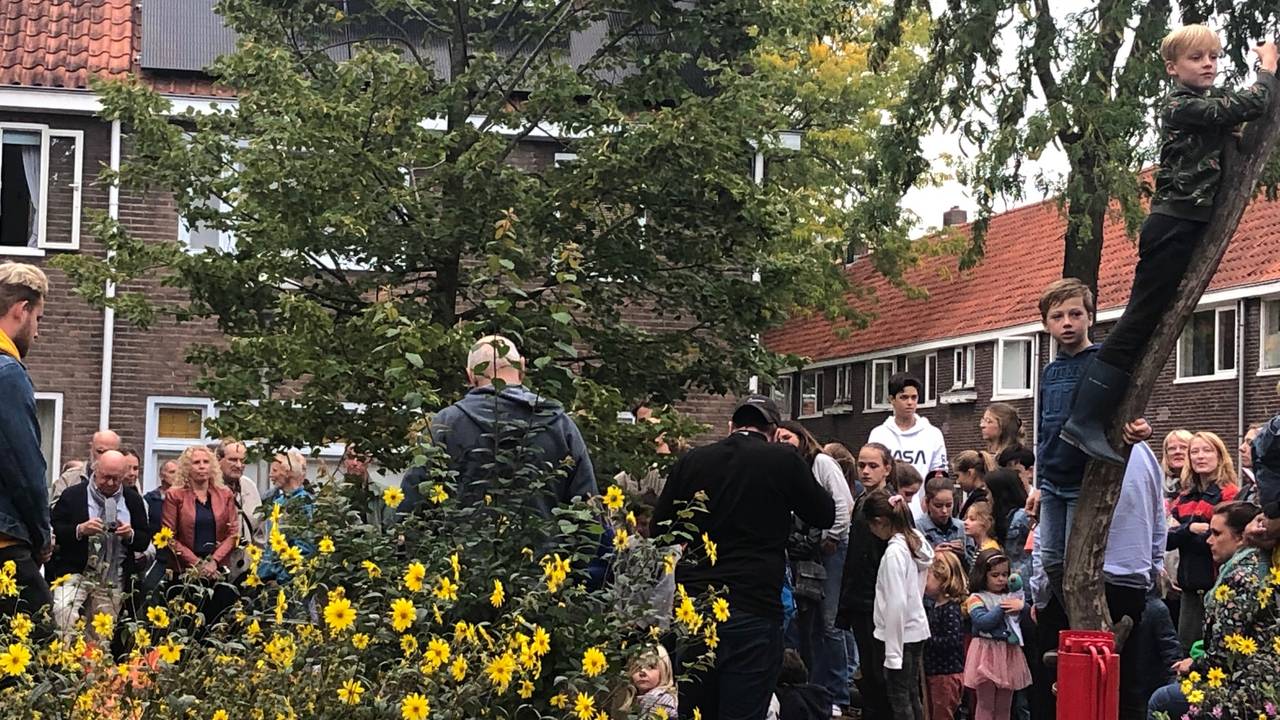 De nieuwe bevrijdingsboom in Eindhoven. (Foto: Tonnie Vossen)